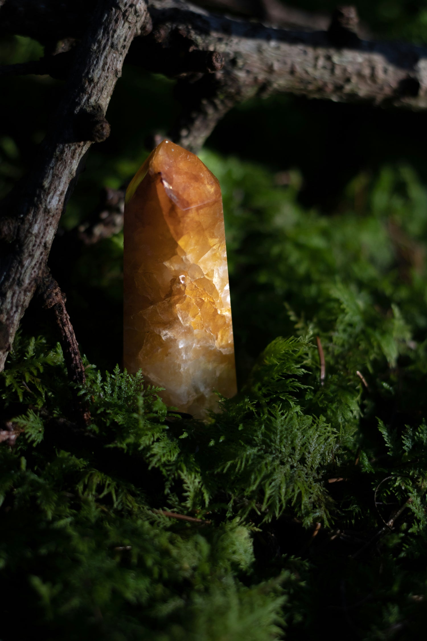 Metal